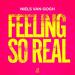 Niels Van Gogh - Feeling So Real