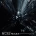 Niiko Skies & Simon Wiart - Telling Me Lies
