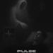 no4ipoka - Pulse