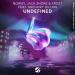 Nowifi, Jack Shore & Gregory Dillon feat. Frozt - Undefined