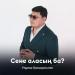 Нұраш Қасқыралиев - Сене аласың ба