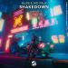 NUZB & Mo Falk - Shakedown