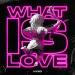 Nyro - What Is Love