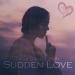 Omer Bukulmezoglu - Sudden Love