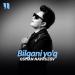 Osman Navruzov - Bilgani Yo'q