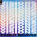 Pablo Bravas - Visions