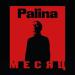 Palina - Месяц (Remix by аuroo)