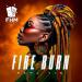 Papa Tin - Fire Burn