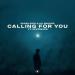 Parah Dice feat. Ali Bakgor & SevenEver - Calling For You
