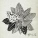 Park Hyo Shin - Wild Flower