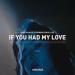 Paul Schulze - If You Had My Love