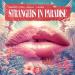 Perfect Pitch, Rocco, L'EXAIS - Strangers in Paradise