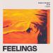 Phael & the Heat feat. Federico maria santoro - Feelings
