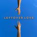 Picture This - Leftover Love