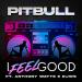 Pitbull feat. Anthony Watts & DJWS - I Feel Good