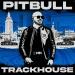 Pitbull feat. T-Pain & El Micha - Lit In The City