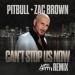 Pitbull feat. Zac Brown - Cant Stop Us Now (Nitti Gritti Remix)