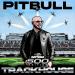 Pitbull - Guantanamera (She Is Hot)