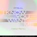 Pitbull - I Know You Want Me (Calle Ocho) (Helion Remix)