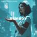 POLANSKI, SONETS DJS & NEXVEIL - Remedy
