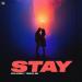 POLANSKI & Timur_SH - STAY