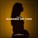 Porte - Shades of You