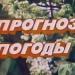 Программа Время - Музыка из Прогноз Погоды (рингтон)