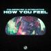 Pulsedriver & Interactive - How You Feel