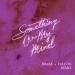 Purple Disco Machine feat. Duke Dumont & Nothing But Thieves - Something On My Mind (Braxe + Falcon Remix)