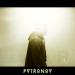 Pvtronov - Жали Плечами