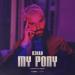 R3hab - My Pony (R3hab VIP Remix)