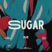 Ræ, Rebel Musique & Yıldırım Erşahin - Sugar