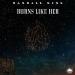 Randall King - Burns Like Her
