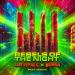 Rave Republic & Bonka feat. Maikki - Rebels Of The Night