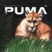 Remundo - Puma