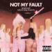 Renee Rapp feat. Megan Thee Stallion - Not My Fault