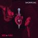 Rezz, PVRIS - Sacrificial