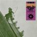 RL Grime & ISOxo - Stinger