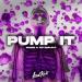 Robbe & PET3RPUNX - Pump It