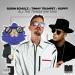 Robin Schulz, Timmy Trumpet & Koppy - All The Things She Said