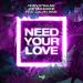 Roby Strauss & Joe Mangione feat. Calvin Biasi - Need Your Love