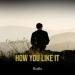 Rodle - How You Like It