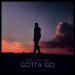 Rolipso & Shiah Maisel - Gotta Go