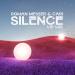 Roman Messer feat. Cari - Silence (VIP Mix)