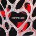 Roman Messer & ThoBa - Listen to Your Heart