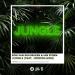 Ron Van Den Beuken, Ian Storm & JordinLaine - Jungle