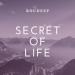 Roudeep - Secret of Life (Original Mix)