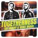 SAFJANOFF & Denis Bravo - Togetherness