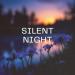 SAGI - Silent Night