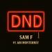 Sam F feat. Abi Monterey - Dnd
